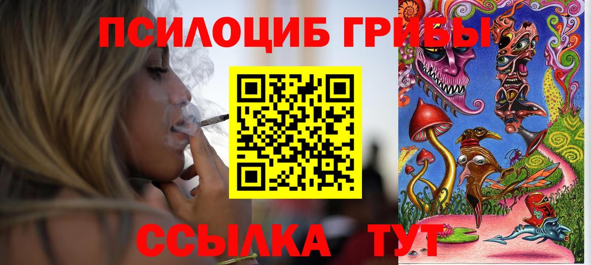 Галлюциногенные грибы мухоморы Великий Устюг