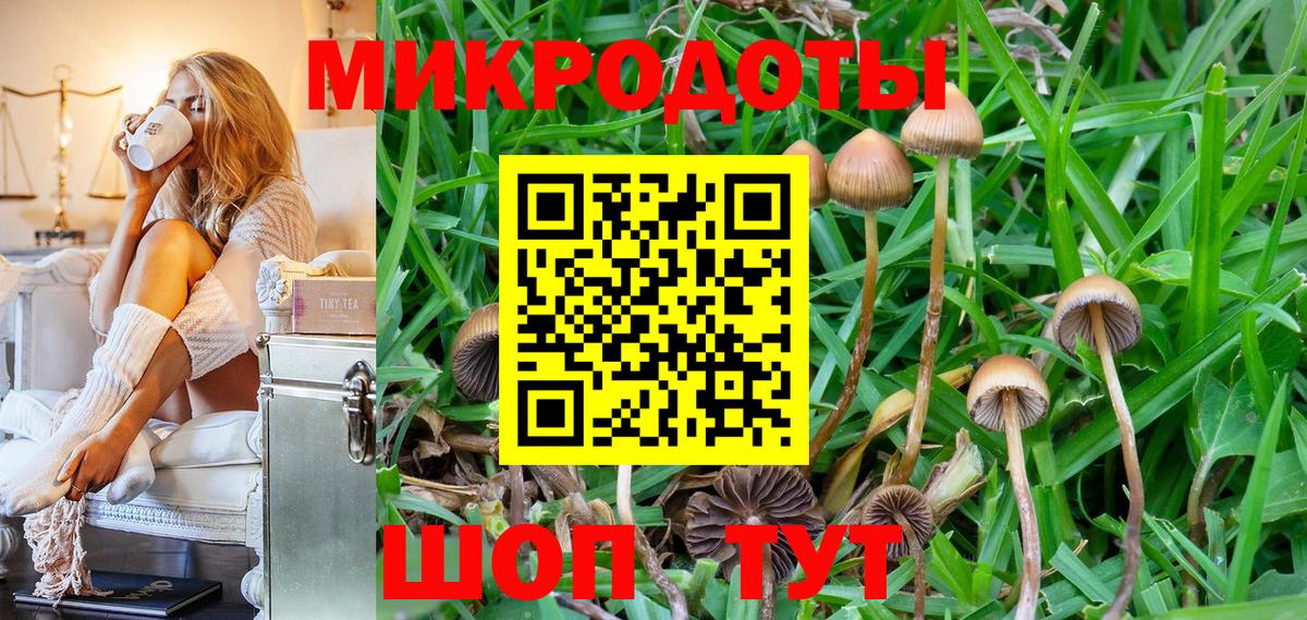 Великий Устюг  Галлюциногенные грибы Psilocybine cubensis  Вход с VPN  Псилоцибиновые грибы ЛСД 