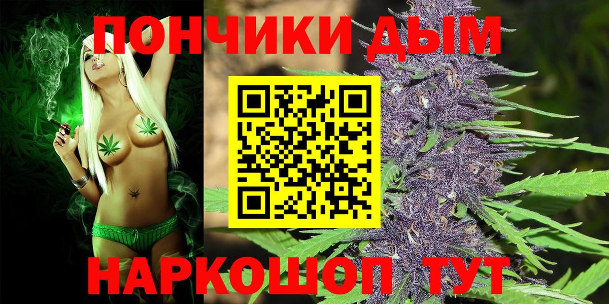 Бошки Шишки планчик Великий Устюг